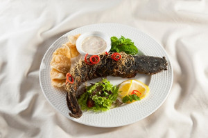 ca-tre-chien-gion